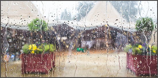 Rain.weddingplz